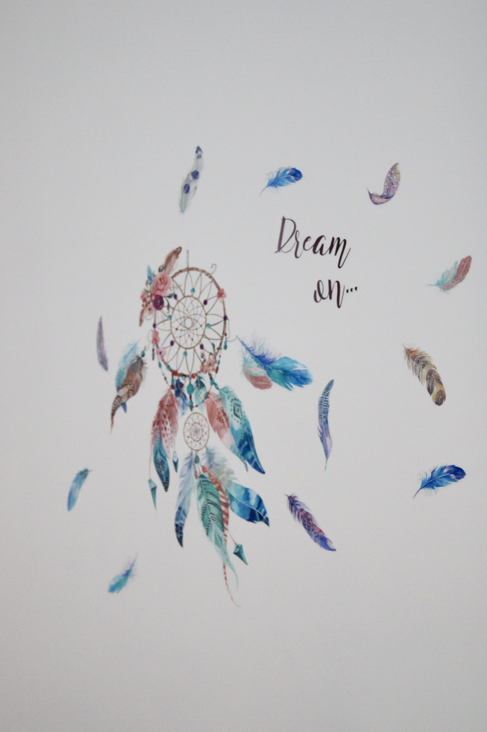 image00049